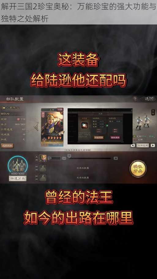 解开三国2珍宝奥秘：万能珍宝的强大功能与独特之处解析