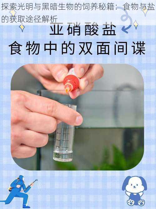 探索光明与黑暗生物的饲养秘籍：食物与盐的获取途径解析