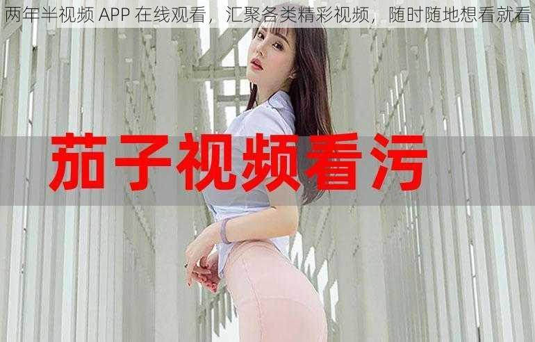 两年半视频 APP 在线观看，汇聚各类精彩视频，随时随地想看就看