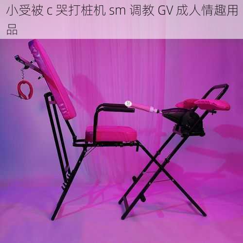 小受被 c 哭打桩机 sm 调教 GV 成人情趣用品