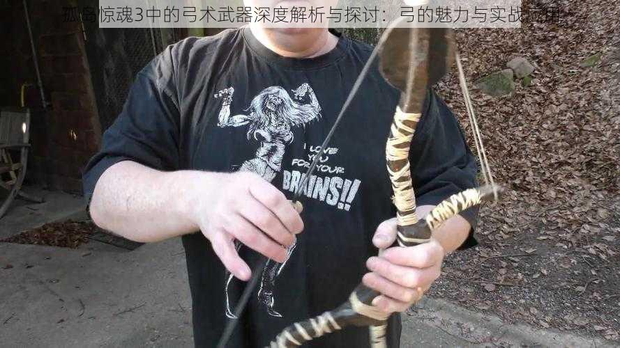 孤岛惊魂3中的弓术武器深度解析与探讨：弓的魅力与实战应用